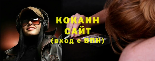 стаф Шали